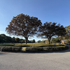 【秋晴れとは？】英語3文で学ぶClear Autumn Weather