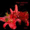 【320】V.A.「Pop Ambient 2021」