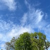 太陽と深夜の電話