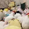 見渡す限りぬいぐるみの部屋！ぬいぐるみと暮らす幸せな風景！