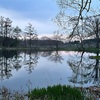 素人キャンプ　20220418 浪岡湿生公園　その２