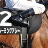 今日の競馬ニュースとか - 2011年1月28日