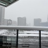 2021年1月 大雪の富山市にて 忘備録用日記【1月6日〜2月17日】