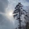 🇯🇵「気にしなくて大丈夫」【感情を整えるセラピー】