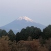 今朝の景色