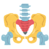 【論文考察】骨盤傾斜角と脊柱起立筋の筋活動の関係性とは