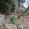 ホツマツタヱを読む 拾弍 ２１・２２のアヤ