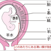 産婦人科の医師たちへ、妊婦さんへのコロナワクチン接種は止めて下さい