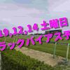 2019,12,14 土曜日 トラックバイアス予想 (中山競馬場、阪神競馬場、中京競馬場)