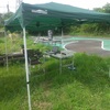 ５月４日（日）今日はアジキM2サーキットさんのタミチャレ運営を手伝ってきました