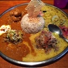 recommending curry shop in Namba!!