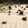 九九鳴き浜のイスのようなもの