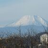  2016.01.02 関戸橋フリーマーケットへ