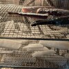 田舎のおばあちゃんになれそうな気がする
