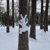 公園内の木にしがみついていたウサギの雪アートがめちゃ可愛い！！＜札幌円山公園＞