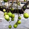 ひまつぶし・・