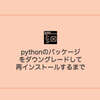 【python】パッケージ（ライブラリ）バージョン指定インストール