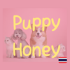 Puppy Honey 1&2（2016,2017）