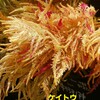 今日の26年前は