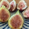 いちじく直売所＆農産物直売所でお買い物♪バナーネが非常に美味だった！毎日ご飯