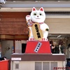 2022年春の高山遠征レポ　Part2