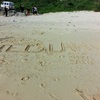 【高校修学旅行】3日目