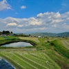 伏見池（奈良県御所）