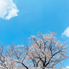 【ワンオペの春休みの過ごし方】失敗したこと、うまく行ったこと