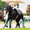 【一口馬主日記】コントラポスト編！