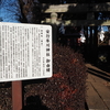 水盆探索　〜安行氷川神社