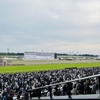 愛馬近況報告！セントメモリーズがシルクロードSに登場🔥