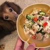 【犬ごはん】なまり節のごはん