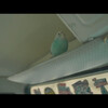 GOT7 FLIGHT LOG : DEPARTURE Trailer