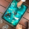 重曹と酢で作る海の泡