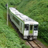 緑に囲まれて走る八高線キハ110系