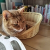 試供品、好きです