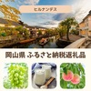 【ヒルナンデス】岡山県ふるさと納税返礼品～星乃シャインマスカット、蒜山ジャージーヨーグルト～