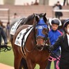 【一口馬主／ベイステート】ほろ苦いデビュー戦