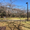 代々木公園でひと休み