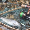 春の釣り