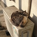 モントーヤのブログ