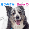 【白馬さのさか スキー場】犬と一緒にリフトに乗って滑れるSnow Dog概要と最近の営業、2023/2024シーズンはどうなる？