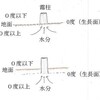 霜柱の出来方