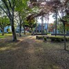 まつぼっくり公園～つくば市とその周辺の風景写真案内（１9３）