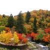 中野もみじ山が紅葉の見頃!殿さまが愛した黒石の奥座敷