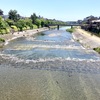 今日の鴨川　鯉のぼりの川渡し？