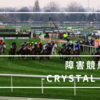 21/09/17 障害競馬入門⑦ - Crystal Cup - 