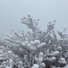 年末のしめくくり登山〜くじゅう〜