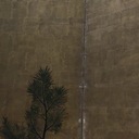 濹東左岸