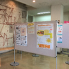 "INTEGRATED STUDY TIME" DISPLAY